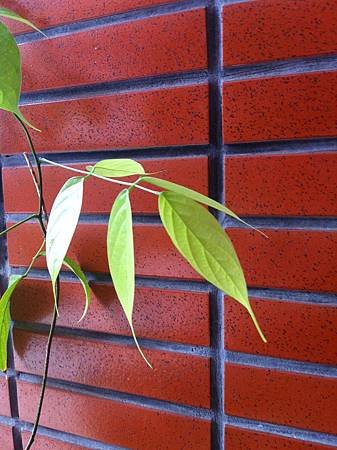 20130921_2