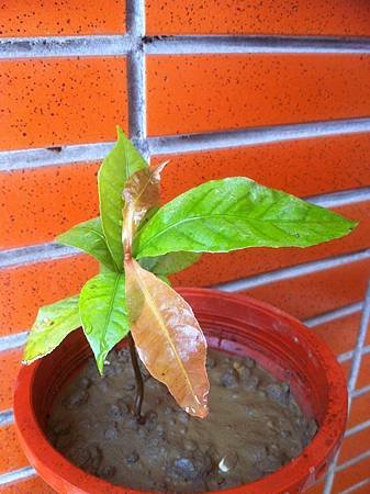 20130510_2