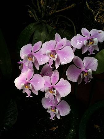 20110411_3