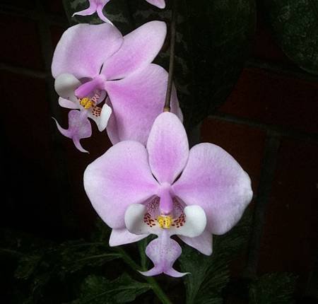 20120410_1