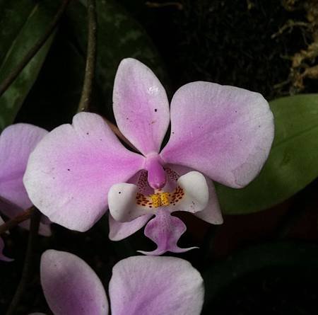 20110411_5