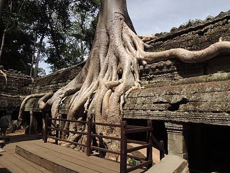 DSCN0354å³å“¥-Ta Prohm