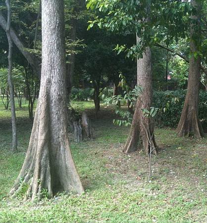 20100902台北植物園_1