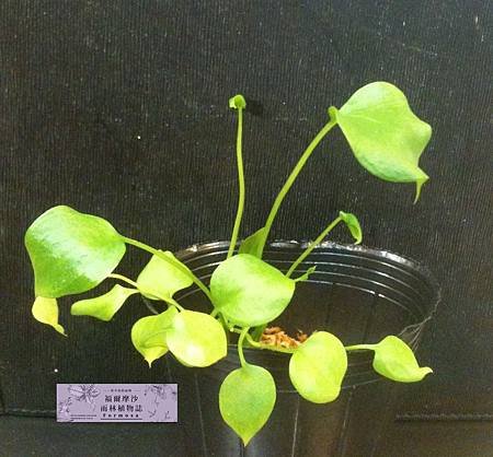 20121006_1
