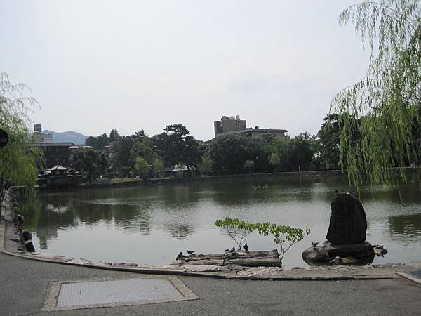 IMG_9780.JPG