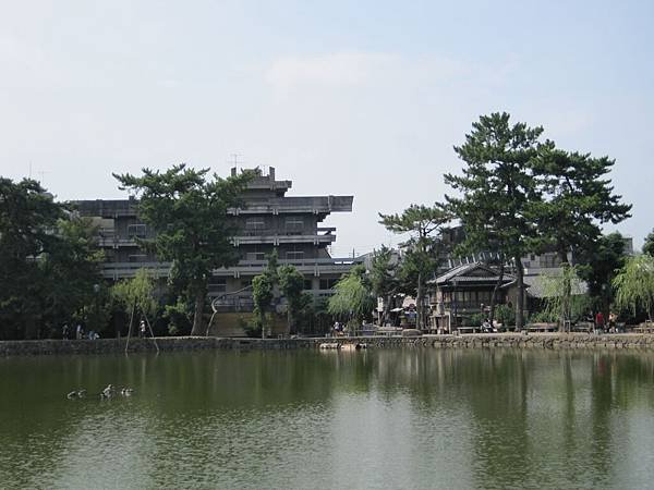 IMG_9787.JPG