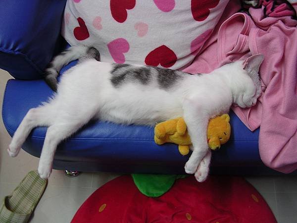 DSCN5787.JPG