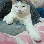 IMG_6724.JPG