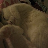 IMG_6658.JPG