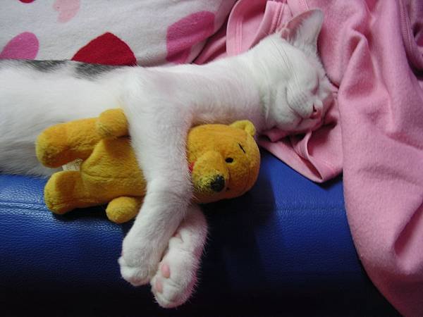 DSCN5790.JPG