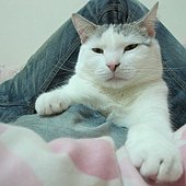 IMG_6728.JPG