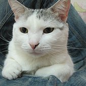 IMG_6721.JPG
