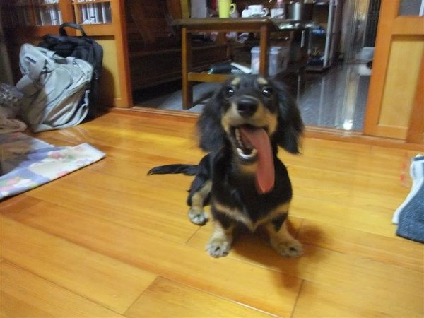 DSCF1046.jpg