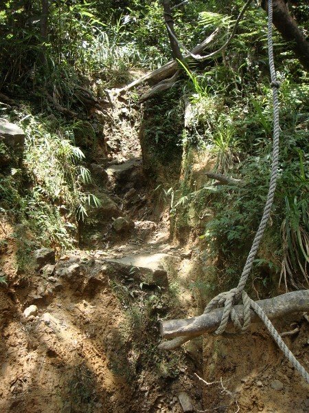 松羅湖登山步道(5).jpg