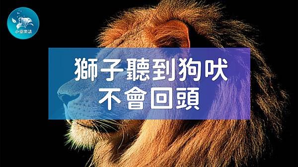0獅子無須回頭聽狗吠！.jpg