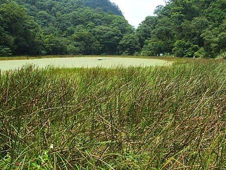 我是濕地背包客（三） 「崙埤部落」～一個原民眼中的動物樂園