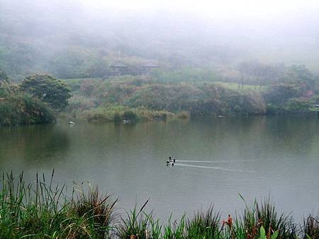 學校在窗外（一）閱讀菜公坑山