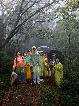 學校在窗外（一）閱讀菜公坑山