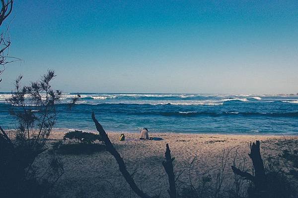 sea-nature-beach-holiday-large