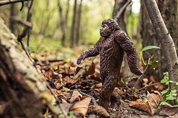 animal-bigfoot-evolution-4075.jpg