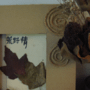 荒野情