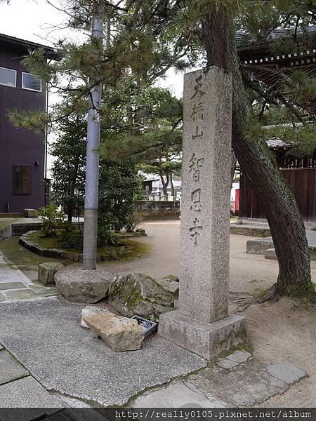 P1030274.JPG