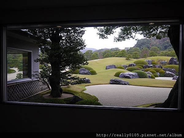 P1050002.jpg