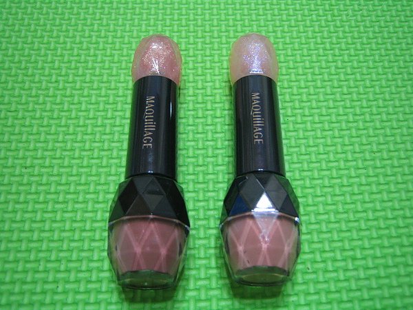 20110129 002.jpg