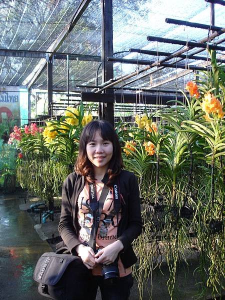 清晨的蘭花園