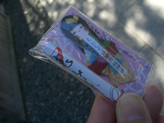 IN山王日枝神社.JPG