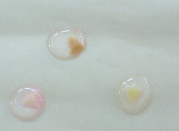 楊小姐第七次3kg2