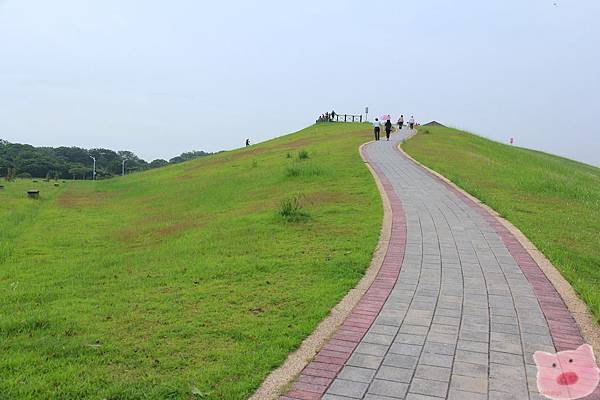 IMG_4541.JPG