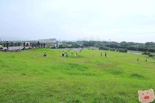 IMG_4559.JPG