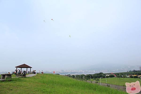 IMG_4573.JPG