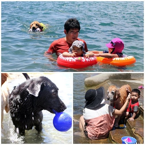 2013熱氣球之旅-11.jpg