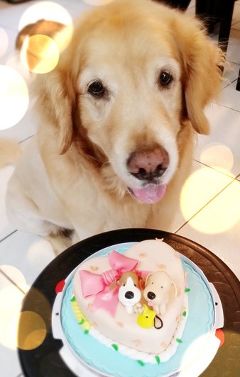 元元10歲阿酷7歲生日快樂-04.jpg