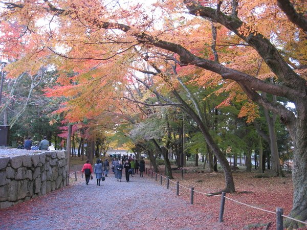 2008.11.26 京都--南禪寺 (7).JPG