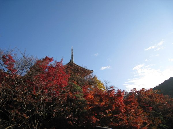 2008.11.26 京都--清水寺 (171).JPG