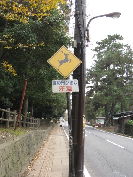 2008.11.27 京都--奈良--春日大社 (4).JPG