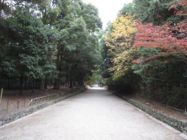 2008.11.27 奈良--春日大社 (7).JPG