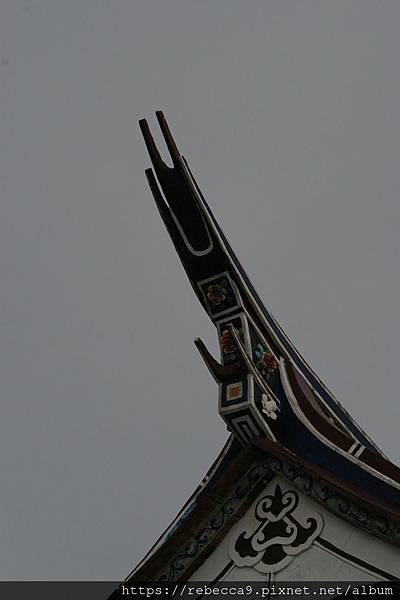 IMGP3643.JPG