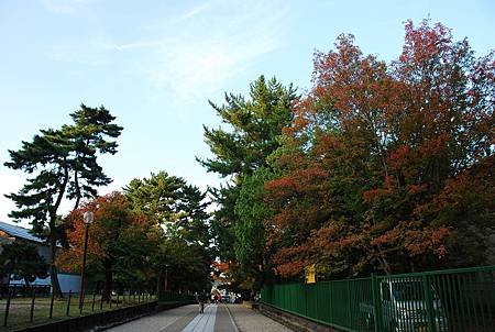 2013.11.08 (268).JPG