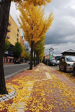 2013.11.11 (183).JPG