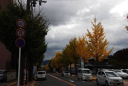 2013.11.11 (194).JPG