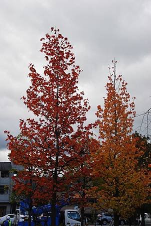 2013.11.11 (196).JPG