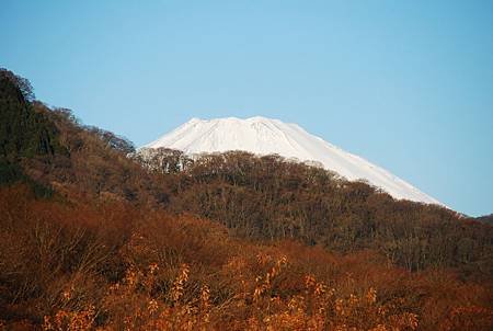 Tokyo 2009-12-2 (1)