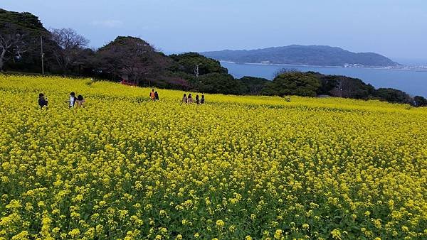 20160323_121934.jpg