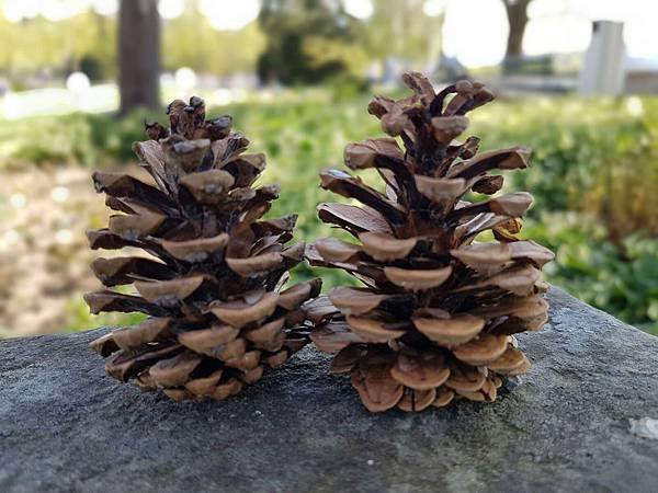 IMG-20170410-WA0093.jpg