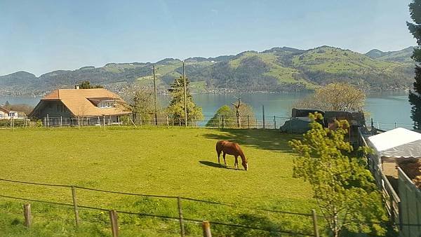 IMG-20170410-WA0020.jpg
