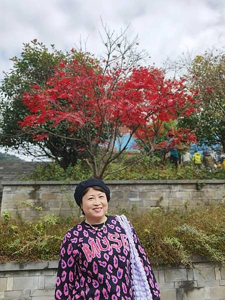 2023年10月21日 成都 - 卧龍大熊貓基地